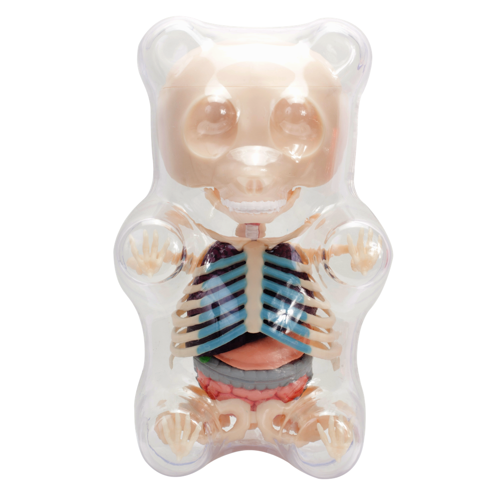 clear gummy bear funny anatomy